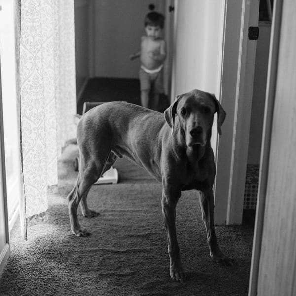 Roll 040 (2025) / Hasselblad 500C/M